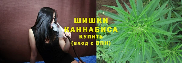 тгк Медногорск