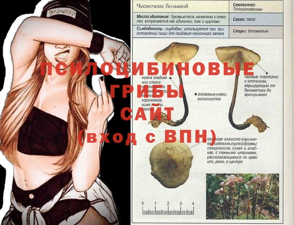 соль курить ск Михайлов