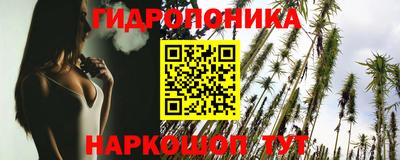 шишки Берёзовский