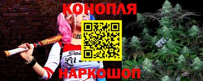 гашик Жуковский