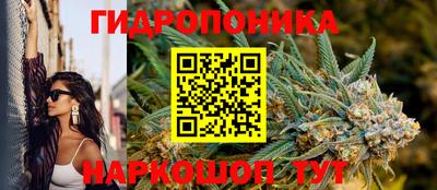 ГАЛЛЮЦИНОГЕННЫЕ ГРИБЫ Заволжье