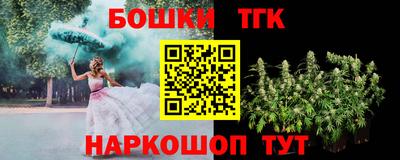гашик Жуковский