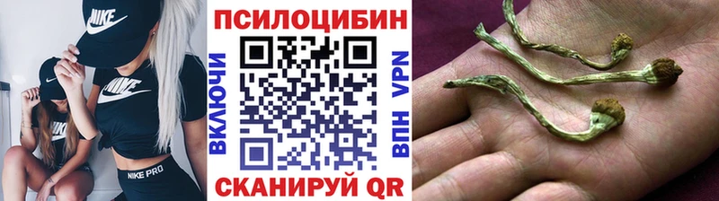 закладка  дарк нет какой сайт  Галлюциногенные грибы MAGIC MUSHROOMS  Рассказово 