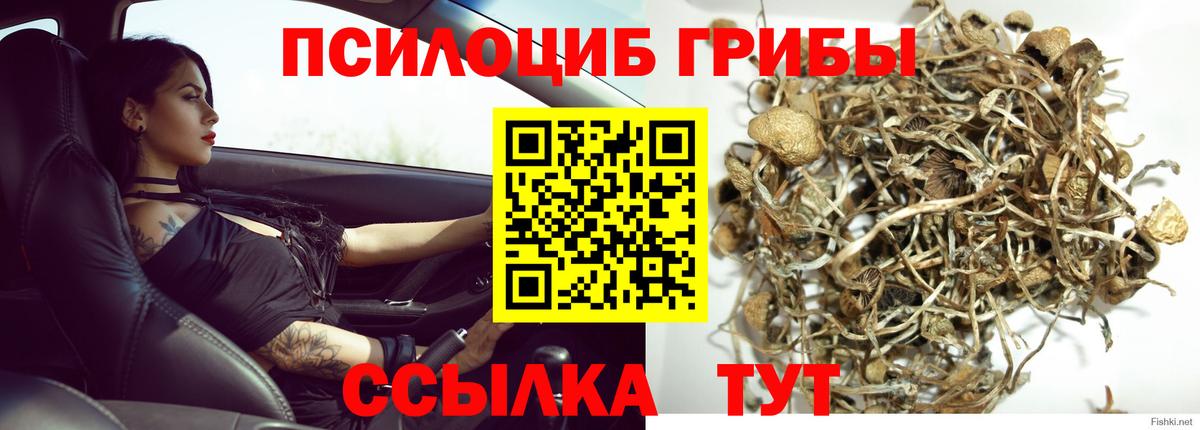 Галлюциногенные грибы MAGIC MUSHROOMS Рассказово