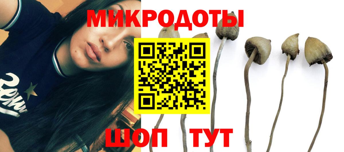 Псилоцибиновые грибы мицелий Рассказово