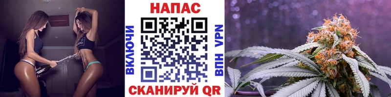 Канабис индика Рассказово